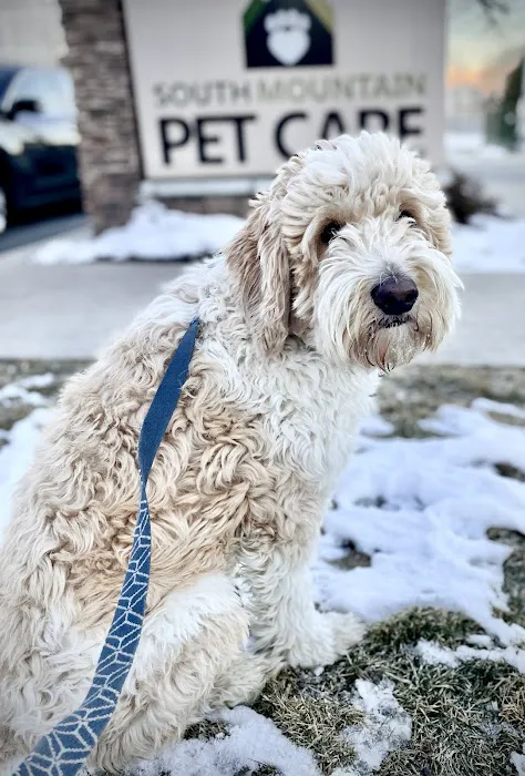 South Mountain Pet Care 2
