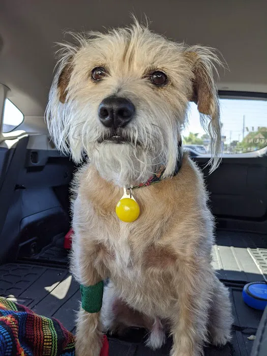 Mountain Vista Animal Hospital: Wagner Nicole DVM 7