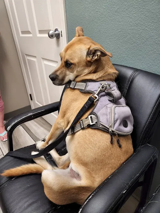 Mountain Vista Animal Hospital: Wagner Nicole DVM 3