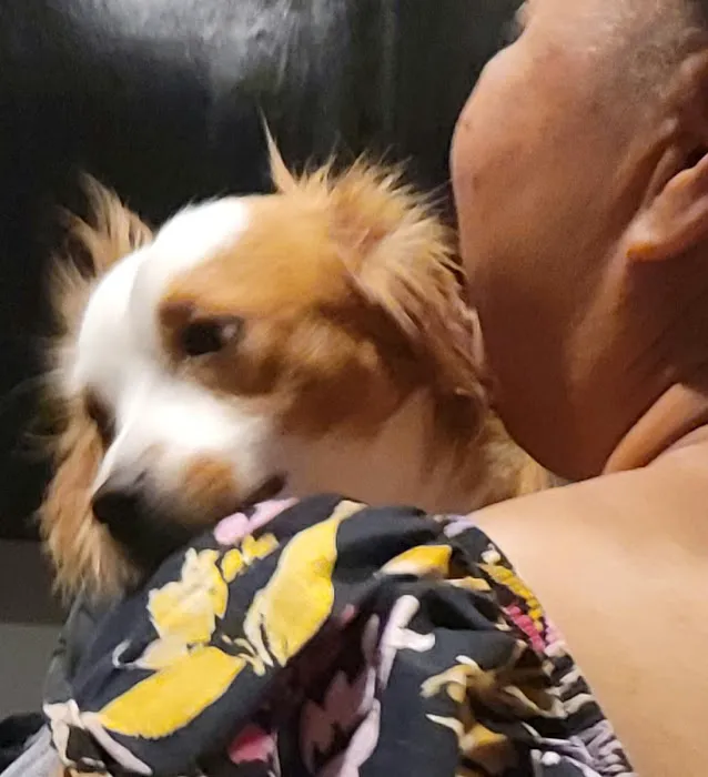 Mountain Vista Animal Hospital: Wagner Nicole DVM 8