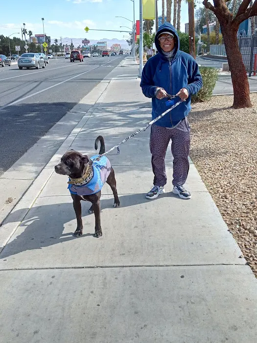 Mountain Vista Animal Hospital: Wagner Nicole DVM 4