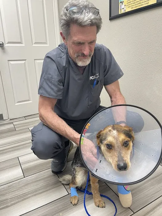 Mountain Vista Animal Hospital: Wagner Nicole DVM 1
