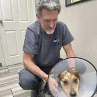 Mountain Vista Animal Hospital: Wagner Nicole DVM ico