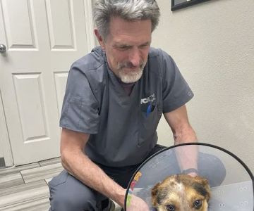 Mountain Vista Animal Hospital: Wagner Nicole DVM