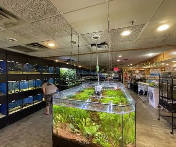 Miles of Exotics