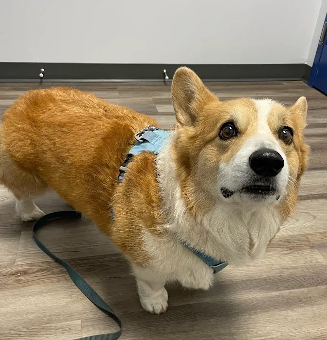 Highlands Animal Care 12