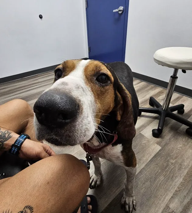 Highlands Animal Care 12