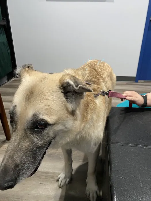 Highlands Animal Care 12