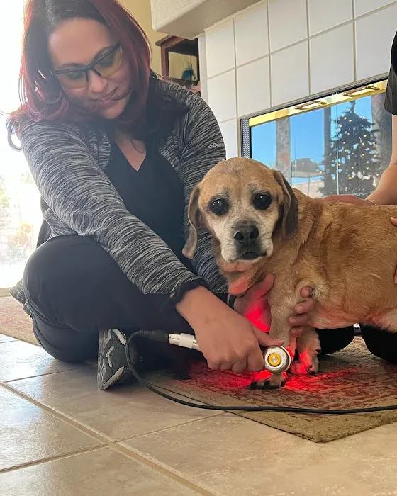 PAWS Health Partners 12