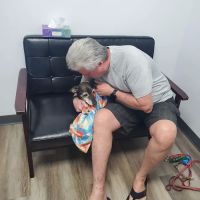 PAWS Health Partners ico