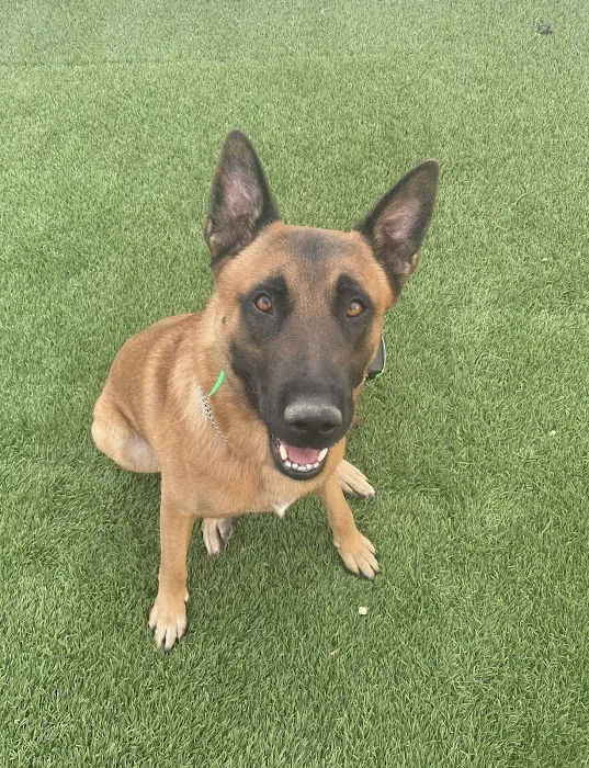 PAWS Health Partners 12