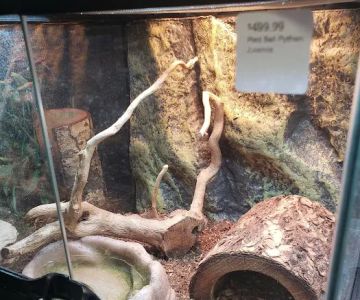 Pet-Topia