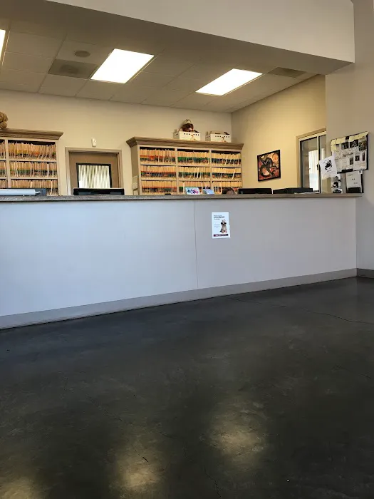 Stephanie Animal Hospital 12