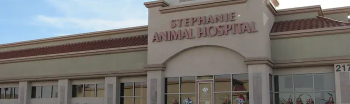 Stephanie Animal Hospital 12