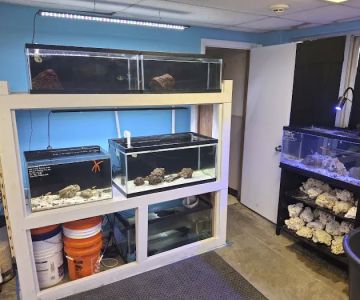 Northland Aquaculture