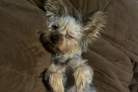 Cactus Creek Animal Hospital