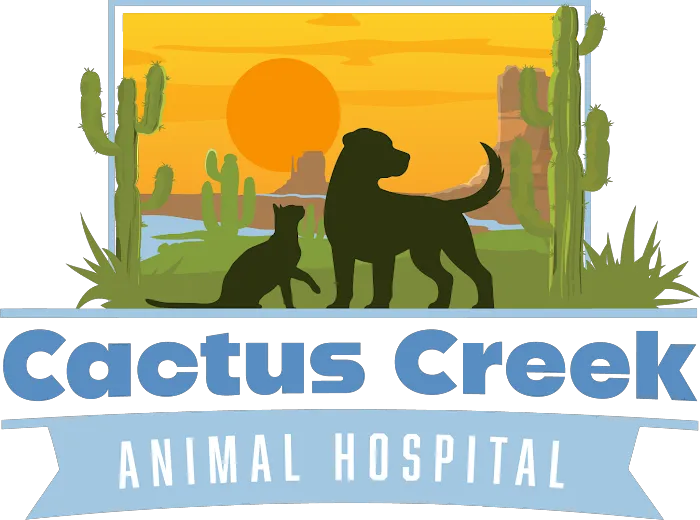 Cactus Creek Animal Hospital 12