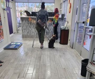 Animal Focus Vet - Marks