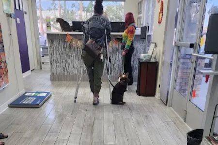 Animal Focus Vet - Marks