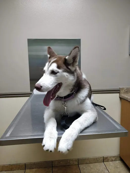 Camino Al Norte Animal Hospital 12
