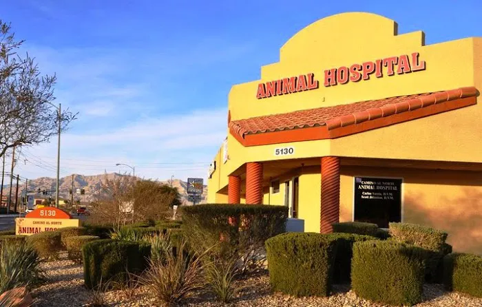 Camino Al Norte Animal Hospital 12