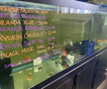 Kansas City Pond & Water Gardening