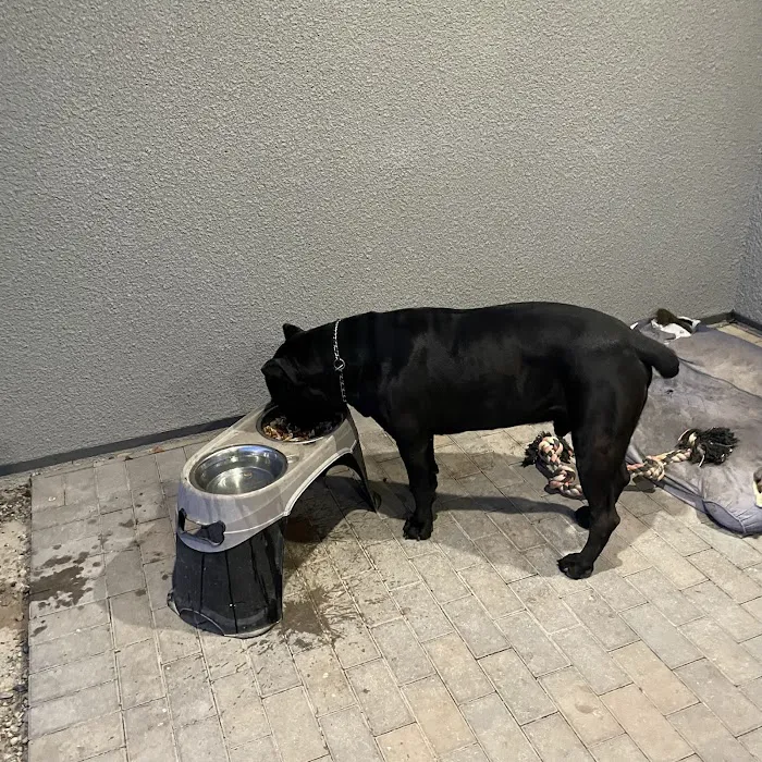 Ann Road Animal Hospital 9