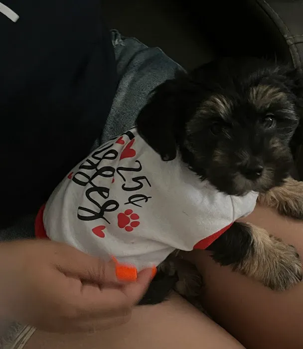Ann Road Animal Hospital 7