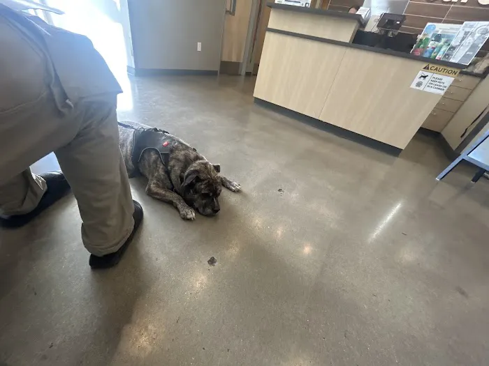 Vetco Total Care Animal Hospital 2