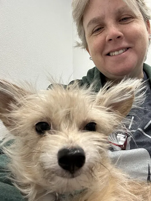 Creature Comforts Animal Hospital 6