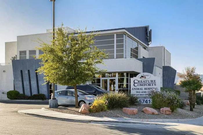 Creature Comforts Animal Hospital 3