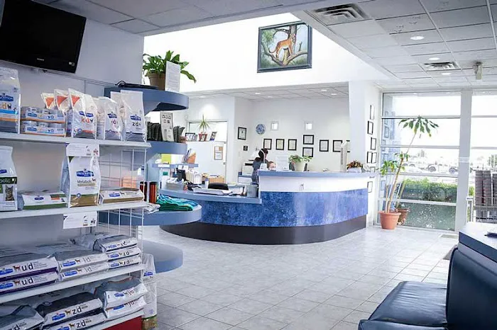 Creature Comforts Animal Hospital 2