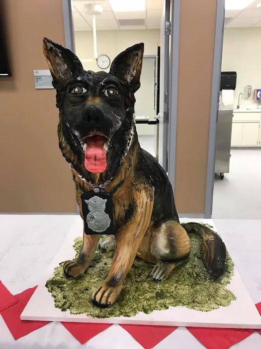 Nellis AFB Veterinary Treatment Facility 12