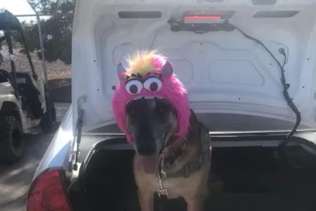 Nellis AFB Veterinary Treatment Facility