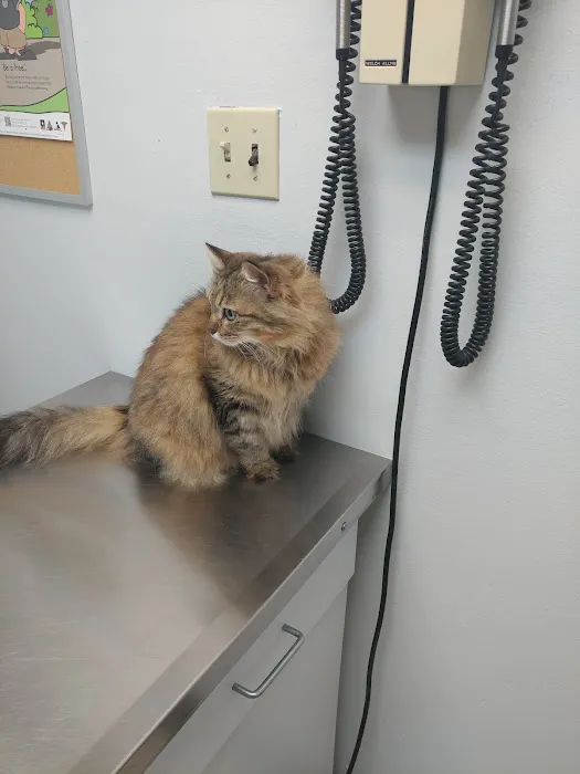 Nellis AFB Veterinary Treatment Facility 12