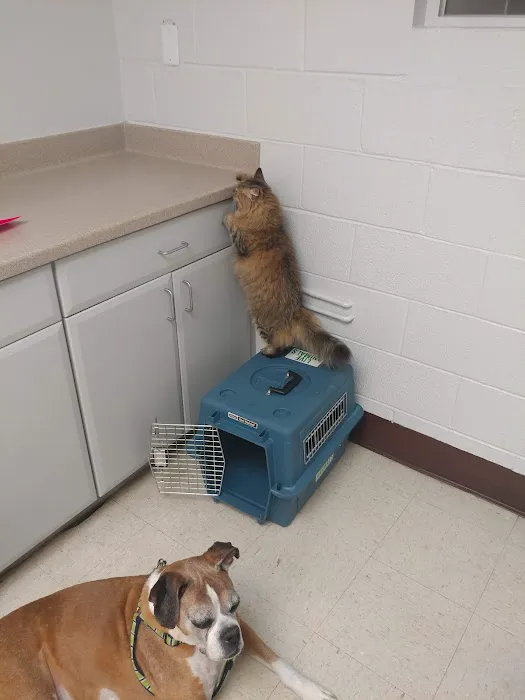 Nellis AFB Veterinary Treatment Facility 12