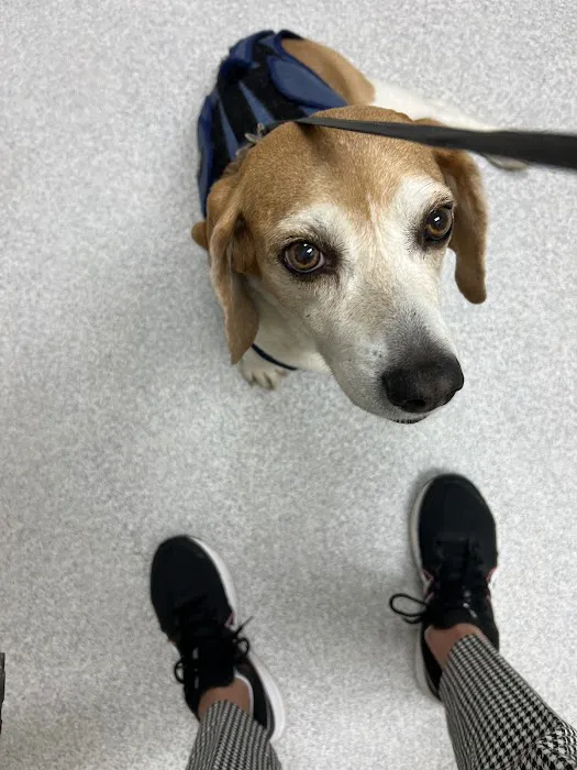 Nellis AFB Veterinary Treatment Facility 12