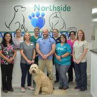 Northside Animal Hospital ico