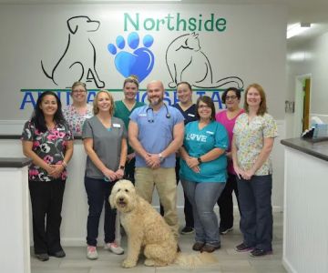 Northside Animal Hospital