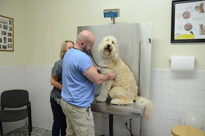 Northside Animal Hospital 12