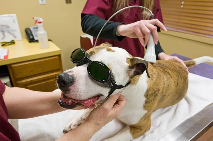 Tranquil Paws Veterinary 1