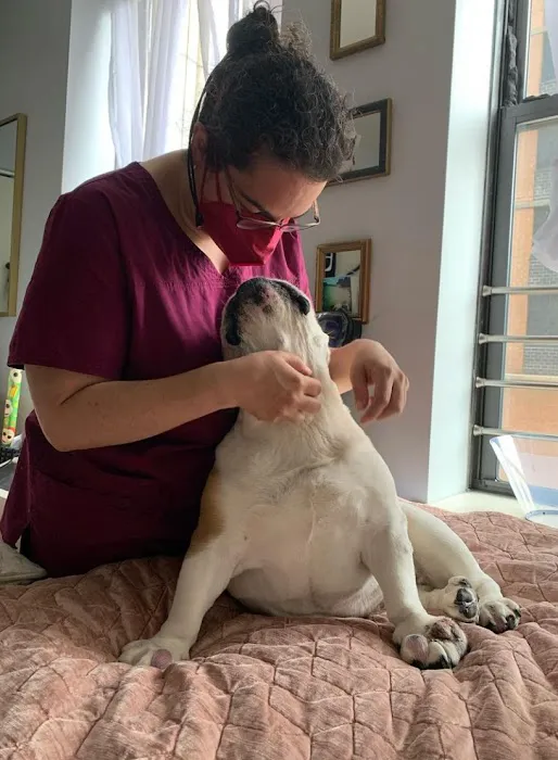 Tranquil Paws Veterinary 3