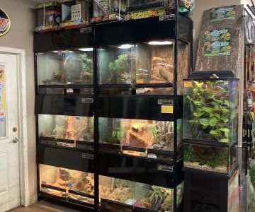 Mission Pet Mart, Inc.