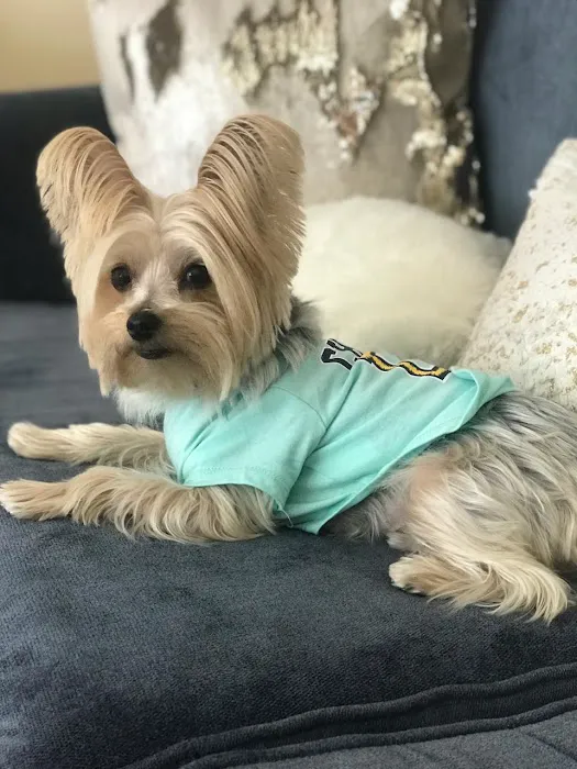 ASPCA Animal Hospital 10