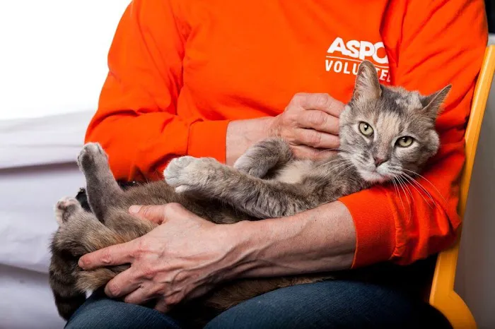 ASPCA Animal Hospital 6