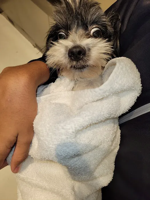 ASPCA Animal Hospital 1