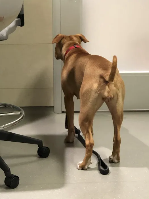 ASPCA Animal Hospital 8