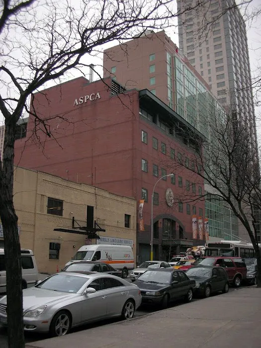ASPCA Animal Hospital 3