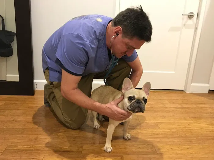 At Home Veterinary Services 1
