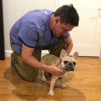 At Home Veterinary Services ico